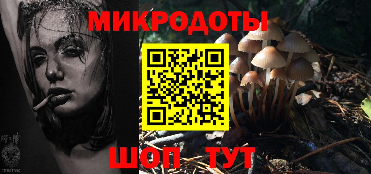 Рубцовск  Псилоцибиновые грибы ЛСД  Вход с VPN 